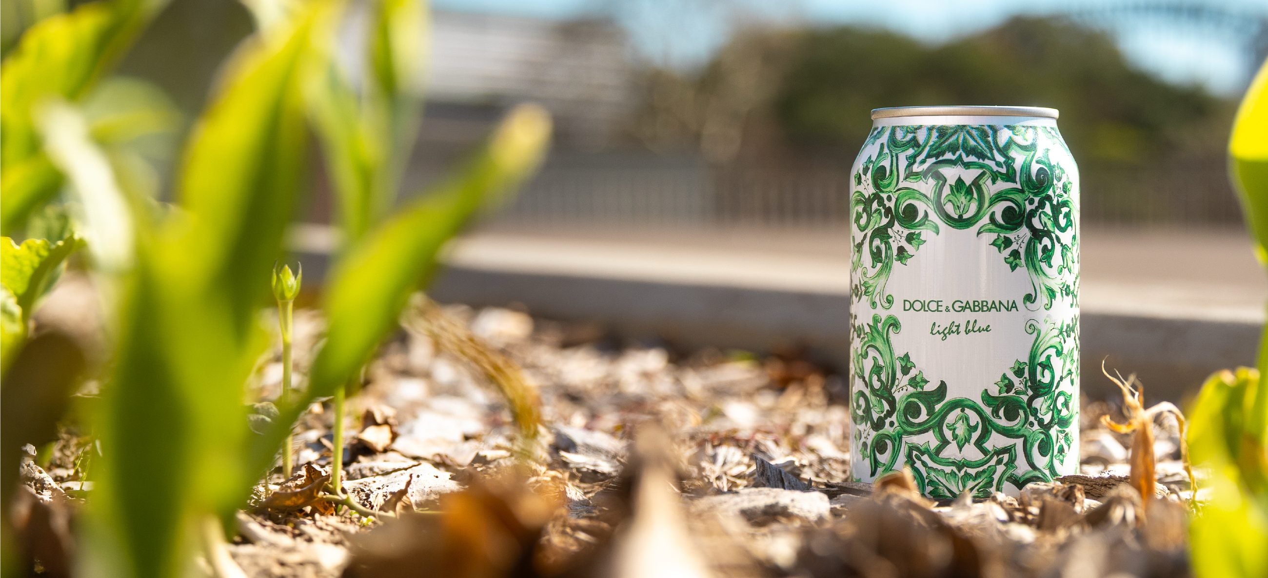 Dolce & Gabbana branded can